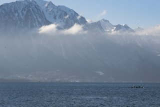 Des analyses menées cet été ont montré des résidus de substances chimiques (archives). KEYSTONE/ALESSANDRO DELLA VALLE