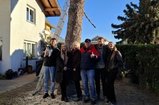 Un après qui prévoit aussi l'arrivée d'un successeur à la place du grand sapin bleu