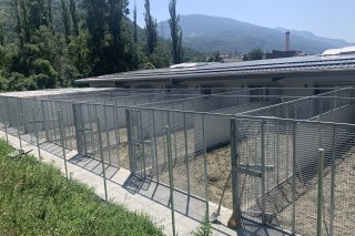 Le refuge permettra d'accueillir jusqu'à 100 chiens de tailles différentes, ainsi qu'une septantaine de chats