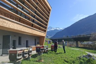Le Centre de compétence en apiculture de Sembrancher