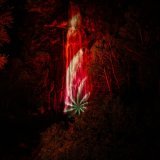 Gratuit, le spectacle a été répété toutes les 15 minutes de 22h15 à minuit. Keystone/JEAN-CHRISTOPHE BOTT