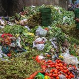 En 2030, chaque Etat membre devra réduire de 30% les déchets alimentaires de la distribution, de la restauration et des ménages, et de 10% ceux générés par la transformation et la fabrication des aliments, par rapport aux volumes annuels enregistrés entre 2021 et 2023 (image d'illustration). KEYSTONE/EPA/DIVYAKANT SOLANKI