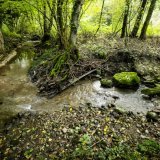 Certains tronçons du "Petit Flon" pourront être revitalisés. KEYSTONE/JEAN-CHRISTOPHE BOTT