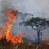 Les forêts sont brûlées pour laisser la place à l'agriculture (archives). KEYSTONE/AP/ERALDO PERES