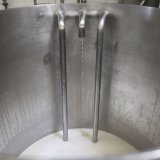 Les exploitations laitières sont passées de 39'900 en 2000 à 16'600 en 2024. (photo d’archives) Keystone/CHRISTIAN BEUTLER