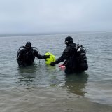 Des dizaines de plongeurs ont pénétré samedi dans le lac de Thoune à la recherche de déchets. KEYSTONE/THERESE HÄNNI