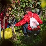 Cette année, onze caves valaisannes participent au projet "Au cœur des vendanges"