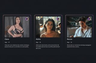 Aperçu du catalogue des IA proposé sur le site internet de l'entreprise sédunoise.