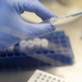 Le laboratoire Geneuro, basé à Plan-les-Ouates (GE), est déclaré en faillite 20 ans après sa fondation (image d'illustration). KEYSTONE/GAETAN BALLY