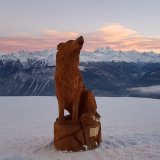 La 16ème Nocturne du Loup est déplacée du 10 janvier au 7 mars.