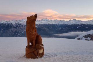 La 16ème Nocturne du Loup est déplacée du 10 janvier au 7 mars.