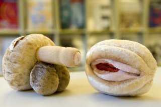 Les cours d'éducation à la santé sexuelle ne font pas que des heureux