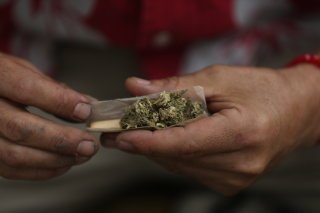 cannabis récréatif