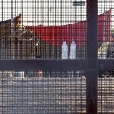 Plus de onze millions d'immigrés en situation irrégulière vivent aux Etats-Unis (image symbolique).