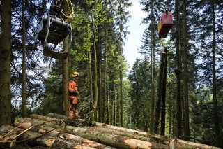 Le Triage Lienne-Morge a touché des subventions injustifiées pendant des années (image d'illustration)